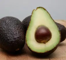 Palta Hass