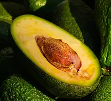 Palta Zutano